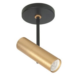 Opbouwspot Trend 1-lichts goud