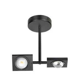 Plafondlamp Jake 2-lichts Zwart