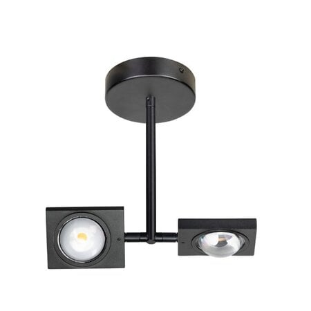 ETH Moderne plafondlamp Jake 2-lichts zwart