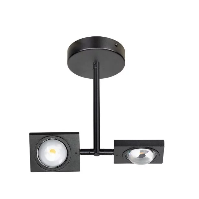 Plafondlamp Jake 2-lichts Zwart