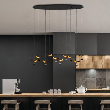 Stars of Light Modern design hanglamp Dracera 10 lichts zwart goud