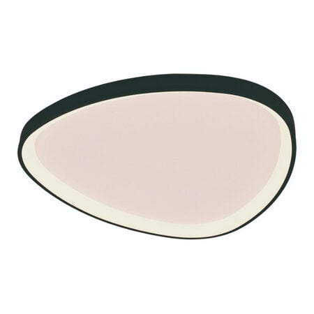 Freelight Moderne plafondlamp Organico 1-lichts zwart