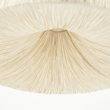 By-Boo Japandi Scandinavisch hanglamp Lokta 1 1-lichts naturel papier