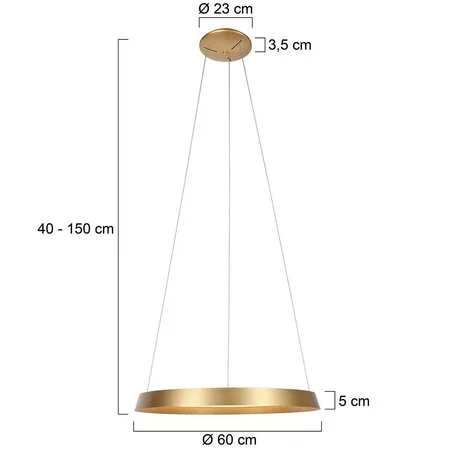 Steinhauer Modern Scandinavisch hanglamp Ringlux 1-lichts 60 cm goud