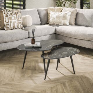 Salontafel Polaris 2-set niervormig