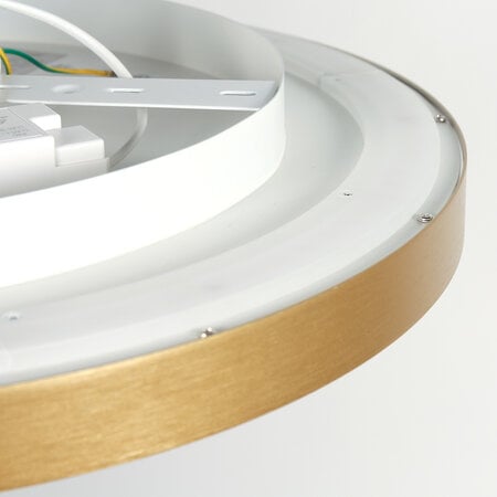 Steinhauer Modern Scandinavisch plafondlamp Flady Ø50 cm goud
