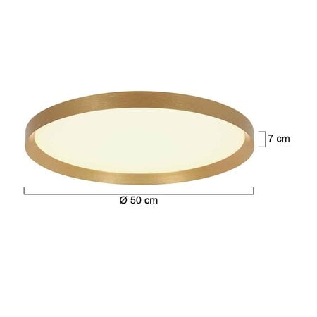 Steinhauer Modern Scandinavisch plafondlamp Flady Ø50 cm goud