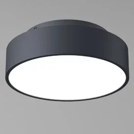 Plafondlamp Chicago 1-lichts zwart