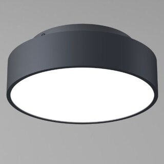 Plafondlamp Chicago 1-lichts zwart