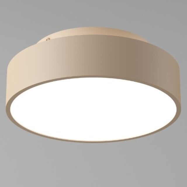 Plafondlamp Chicago 1-lichts champagne