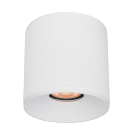 Plafondlamp Costa 1-lichts wit