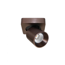 Opbouwspot Laguna 1-lichts brons geborsteld