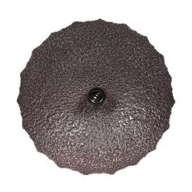 Wandlamp Kyra 1-lichts brons