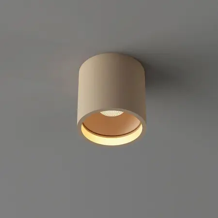 Artdelight Moderne Scandinavische plafondlamp Orleans 1-lichts champagne