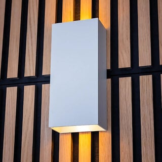 Wandlamp David 2-lichts wit