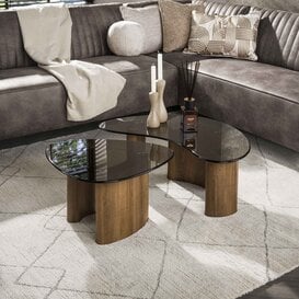 Salontafel Preto organisch set van 2 brons glas