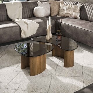 Salontafel Preto organisch set van 2 brons glas