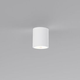 Plafondlamp Toulouse 1-lichts overschilderbaar gips