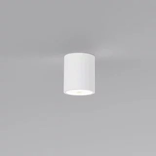Plafondlamp Toulouse 1-lichts overschilderbaar gips