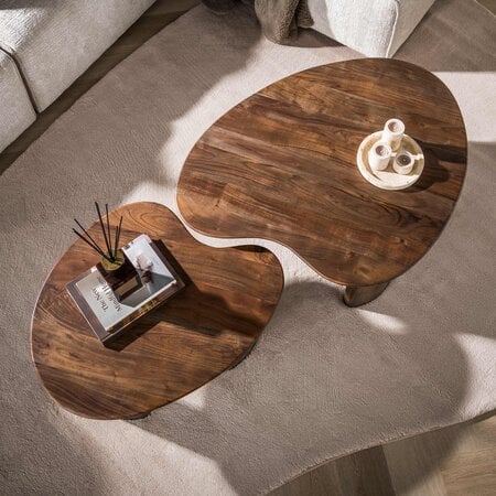 BelaLuz Modern landelijke salontafel Mae set van 2 massief acacia bruin