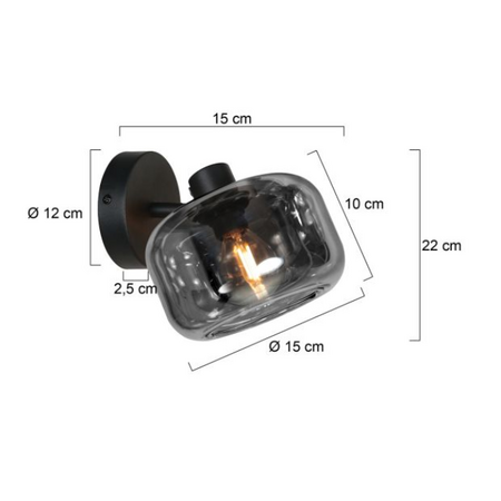 Steinhauer Modern Industriële opbouwspot Tenebris 1-lichts smoke glas
