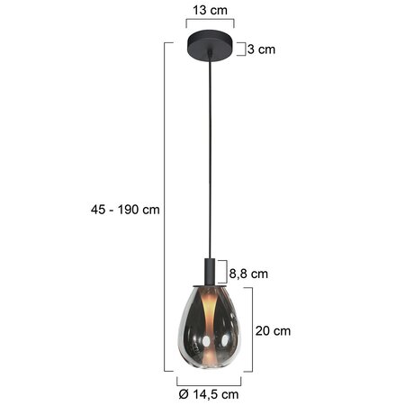 Steinhauer Moderne Design hanglamp Glimsy 1-lichts smoke glas zwart