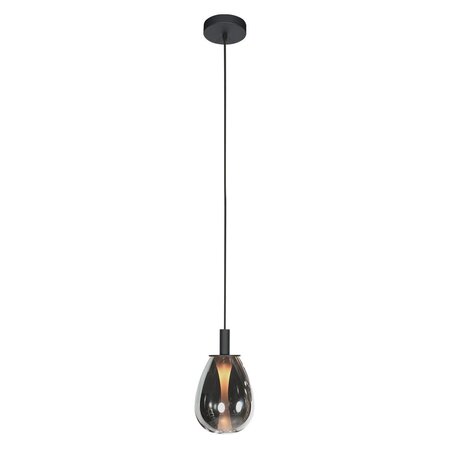 Steinhauer Moderne Design hanglamp Glimsy 1-lichts smoke glas zwart