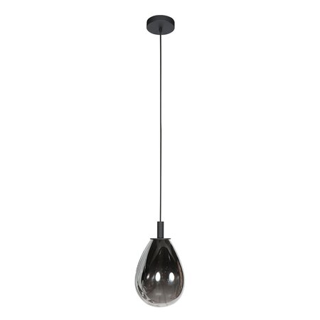 Steinhauer Moderne Design hanglamp Glimsy 1-lichts smoke glas zwart