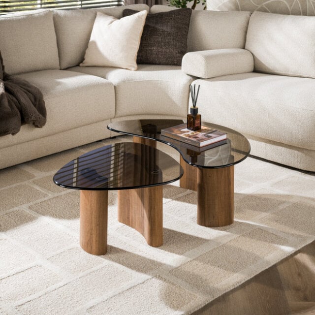 Salontafel Preto organisch set van 2 brons glas