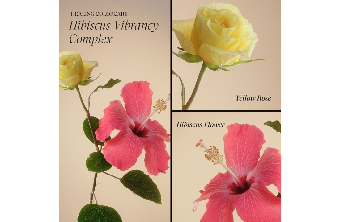 Healing ColorCare Trauma Treatment