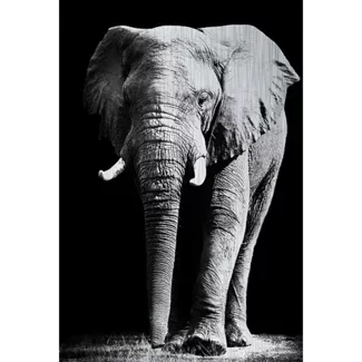 MondiArt Alu Brush | Olifant 120 x 180