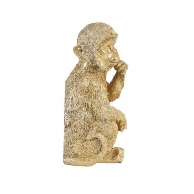 Light en Living Wandornament Aap 19,5 cm Goud van Light & Living