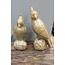 Light en Living Ornament Vogel Papegaai 12x11x28,5 cm Glanzend Olijfgroen