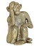 Light en Living Ornament Aap in antique brons finish