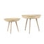 Light en Living Bijzettafel Set van 2 COLON naturel - Light en Living