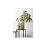 Woood Olan Vaas Glas 35xØ15cm