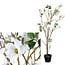 PTMD Kunstboom Magnolia wit in zwarte pot 173 cm hoog