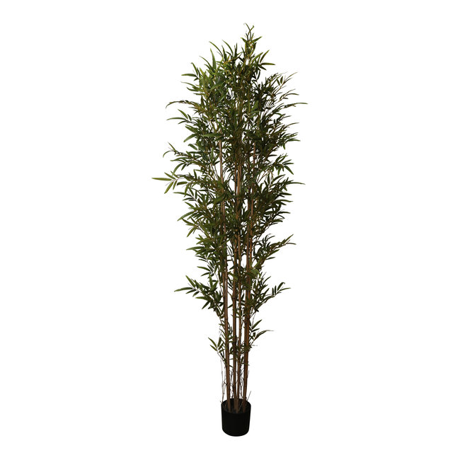 PTMD PTMD Kunstplant Bamboo Groen in Zwarte Pot L - 215 cm