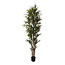 PTMD PTMD Kunstplant Bamboo Groen in Zwarte Pot L - 215 cm
