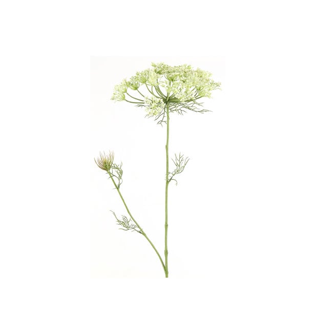 Countryfield Heracleum sphondylium wit kunsttak - Countryfield