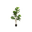 Countryfield Countryfield Kunstplant Ficus lyrata groen - Diverse afmetingen