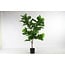Countryfield Countryfield Kunstplant Ficus lyrata groen - Diverse afmetingen