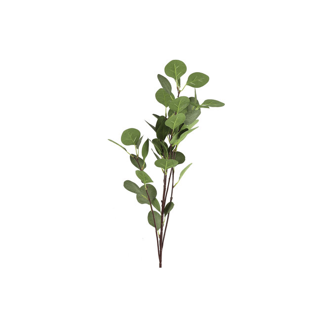 Countryfield Tak Eucalyptus groen 2