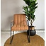 Tower Living Eetkamerstoel Santo met armleuning - cognac, grijs, antraciet en bruin