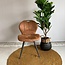 WoonMax Eettafelstoel Miracle - Trendy eetkamerstoel met retro design