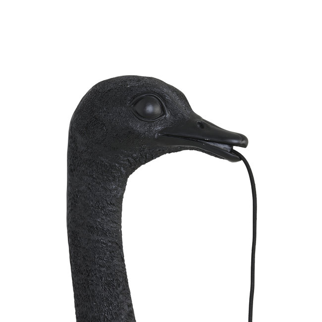 Light en Living Wandlamp Struisvogel van Light & Living - Goud of Zwart - 2 Maten