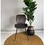 WoonStijl Stoel velvet ronde buis Antraciet velvet