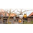 Countryfield Lamp Solar LED Viggo  - Diverse kleuren
