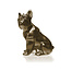 Candellana Kaars bulldog classic brass