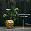 Candellana Bloempot beton Geometric 13 cm Classic Gold